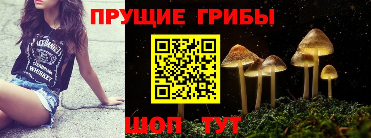 Галлюциногенные грибы MAGIC MUSHROOMS Ачхой-Мартан